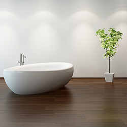 Pflanzen für das Badezimmer Pflanzen für das Badezimmer