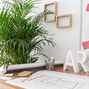 Büropflanzen – farbliche Abwechslung bei der Arbeit Büropflanzen – farbliche Abwechslung bei der Arbeit