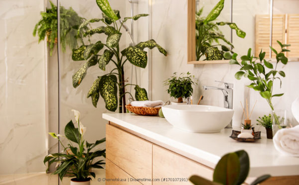 Pflanzen für das Badezimmer: Jetzt wird´s tropisch